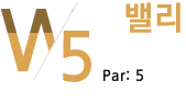 north course5 밸리 par:5