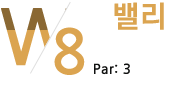 north course8 밸리 par:3